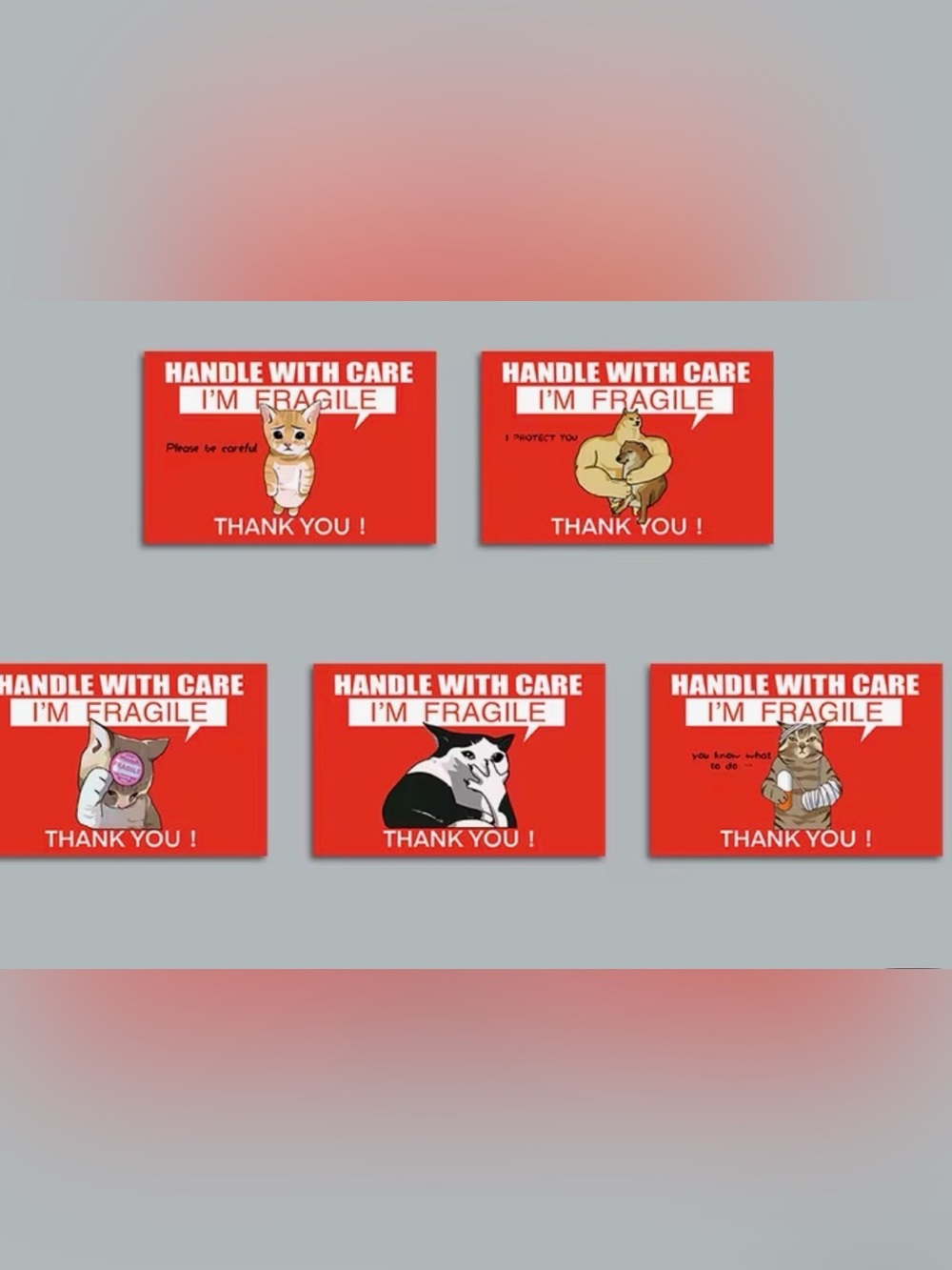 💕5/25💕Cat Fragile Stickers Set of 50